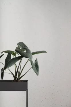 Ferm Living Confetti Behang Grey 12 Ferm Living Confetti Behang Grey -Ferm Living x886x886 ferm living confetti behang sfeerfoto 1.jpg.pagespeed.ic .6LinXMx3BL 1