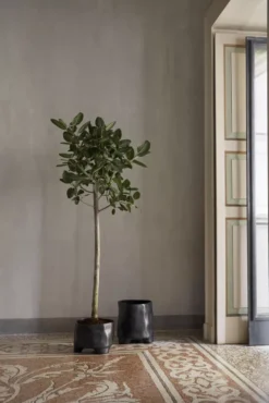 Ferm Living Esca Plantenbak Large 5 Ferm Living Esca Plantenbak Large -Ferm Living x886x886 ferm living esca plantenbak large1.jpg.pagespeed.ic .DH4xhm flb