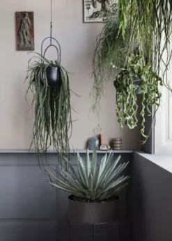 Ferm Living Plant Box Plantenbak Ø40 Cashmere 19 Ferm Living Plant Box Plantenbak Ø40 Cashmere -Ferm Living x886x886 ferm living plant box plantenbak rond23.jpg.pagespeed.ic .bObOIZX2c5