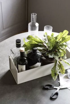 Ferm Living Plant Box Plantenbak Small Lichtgrijs 17 Ferm Living Plant Box Plantenbak Small Lichtgrijs -Ferm Living x886x886 ferm living plant box plantenbak small19.jpg.pagespeed.ic .f8kkhHOur6 2
