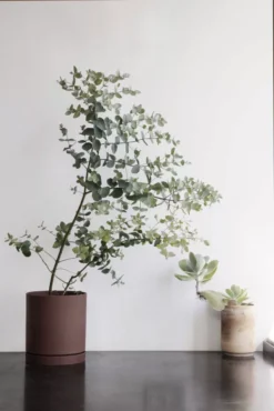 Ferm Living Sekki Plantenbak Large Sand 17 Ferm Living Sekki Plantenbak Large Sand -Ferm Living x886x886 ferm living sekki plantenbak medium3.jpg.pagespeed.ic .ENhUHcpYvQ