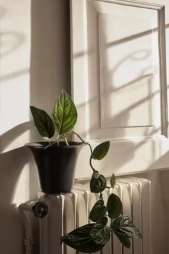 Ferm Living Spun Alu Bloempot Medium Ø24 -Ferm Living x886x886 ferm living spun alu bloempot medium1.jpg.pagespeed.ic .6Sh ME40iO