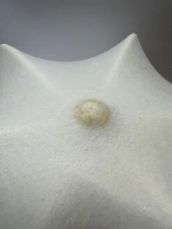 Ferm Living Tweedekansje - Poem Wandlamp Ø35 -Ferm Living x886x886 ferm1.jpg.pagespeed.ic .dIF kaEs0M