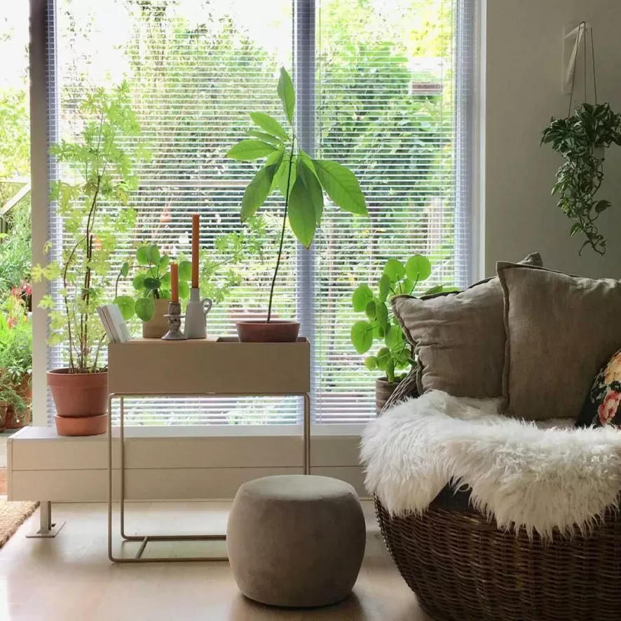 Ferm Living Plant Box Plantenbak Zwart 19 Ferm Living Plant Box Plantenbak Zwart - Afbeelding 19